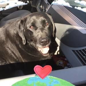 Meet your Posher, Pam